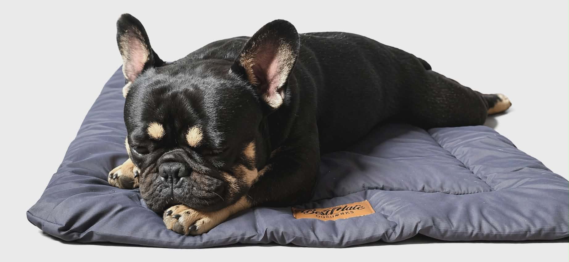 Snoozi Travel Bed & Mat